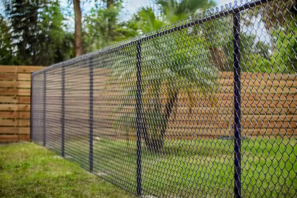 Black vinyl-coated chain link fence around a residential backyard