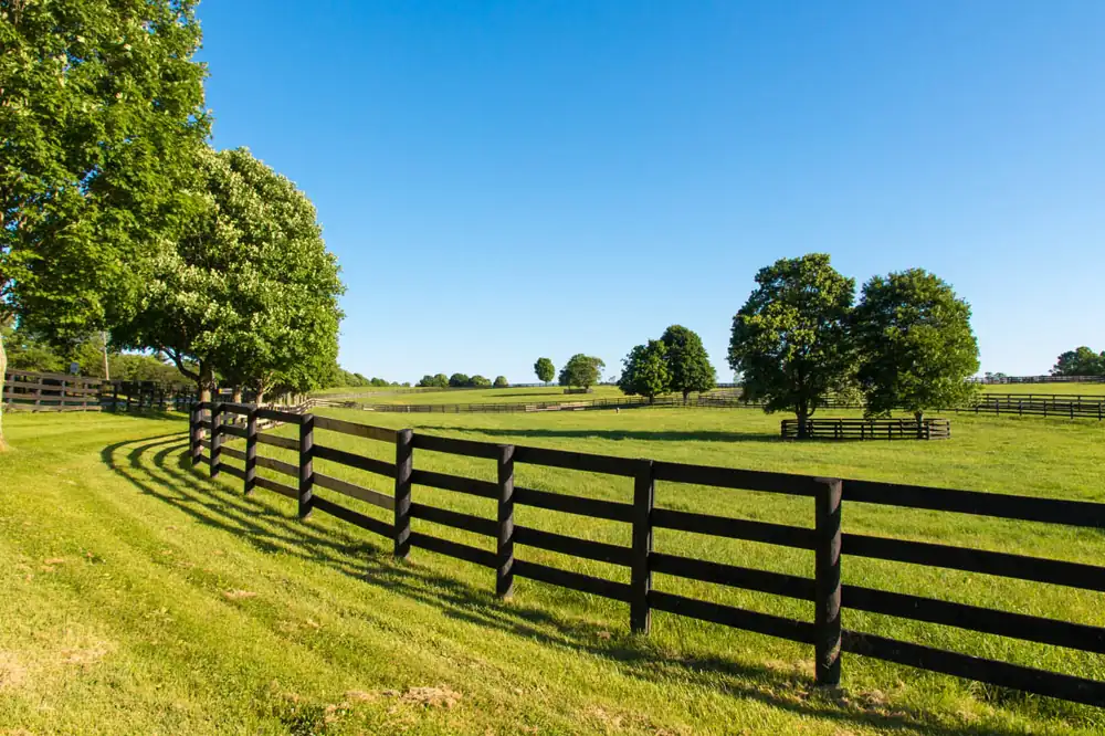 Split Rail fence