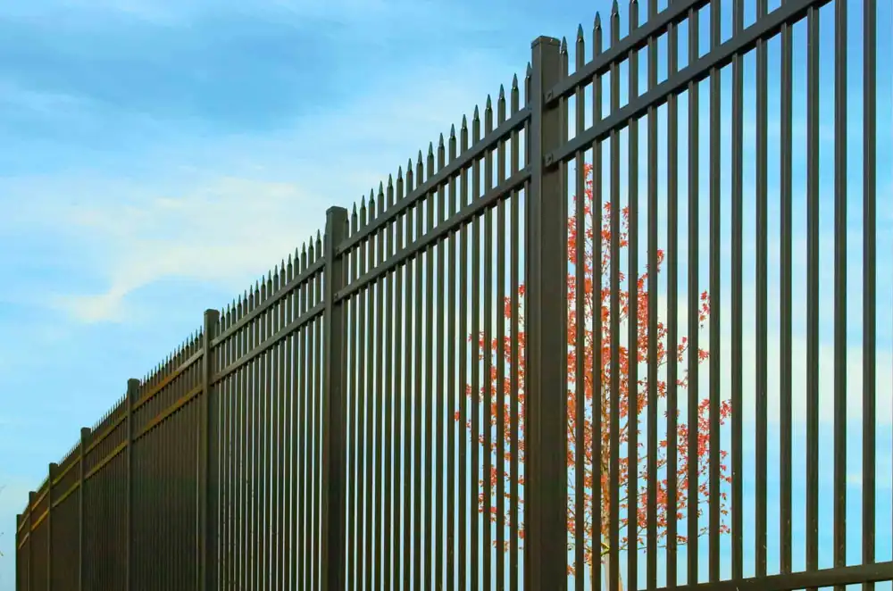 Ornamental Steel fence